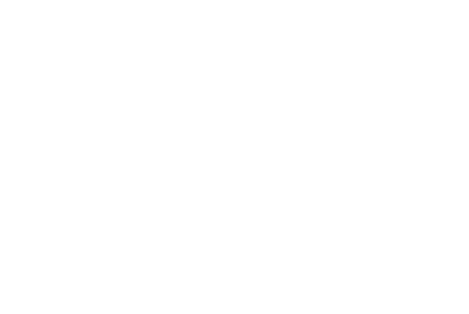 MARTIN+SARNO LOGO